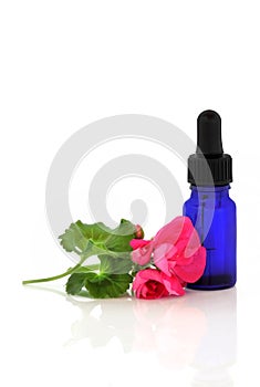 Geranium Flower Essence