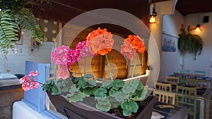 Geranium flowers on the cozy restaurant background photo