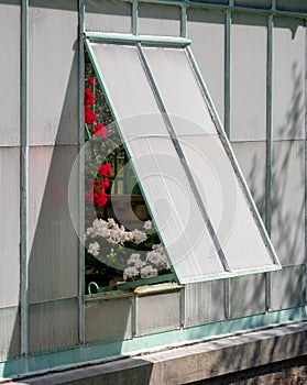 The Geranium Gallery at the The Royal Greenhouses at Laeken, on the grounds of the Castle of Laeken in Brussels, Belgium