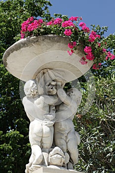 Geranium vase in a garden