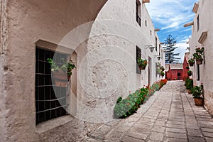 geraniums in the courtyard of old convent