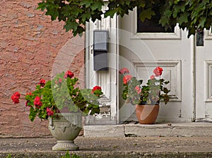 Geraniums at Doorway