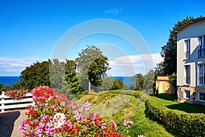 Geraniums in a garden at a house overlooking the Baltic Sea. Lohme on the island of RÃ¼gen