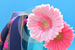 Gerbera