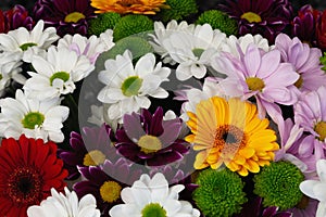 Gerbera and chrysanthemum flowers in a bouquet from above