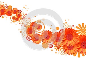 Gerbera daisy background