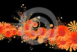 Gerbera daisy background