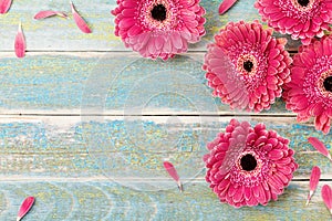 Gerbera daisy flower greeting card background for mother or womans day. Vintage style. Top view.