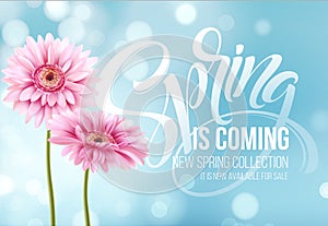 Gerbera Flower Background and Spring is coming Lettering. Vector Illustration