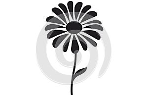 Gerbera flower silhouette. Floral vector background with daisy.Vector set of gerbera flowers with stems isolated on a white