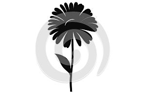 Gerbera flower silhouette. Floral vector background with daisy.Vector set of gerbera flowers with stems isolated on a white