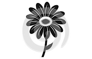 Gerbera flower silhouette. Floral vector background with daisy.Vector set of gerbera flowers with stems isolated on a white