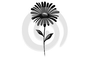 Gerbera flower silhouette. Floral vector background with daisy.Vector set of gerbera flowers with stems isolated on a white