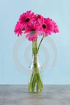 Gerbera flower in vase.