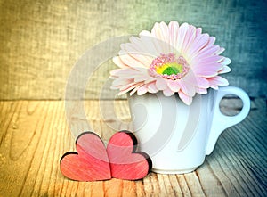 Gerbera flower in a white cup with red Valentines
