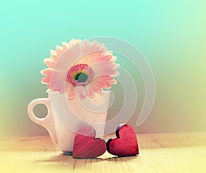 Gerbera flower in a white cup with red Valentines