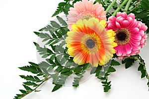 Gerbera flowers arrangement