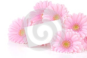 Gerbera flowers and a card