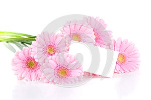 Gerbera flowers and a card