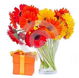 Gerbera flowers in glass vase with gift
