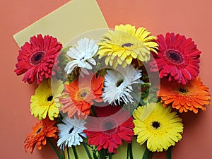 gerbera flowers on the orange and yellow background