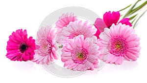Gerbera flowers. Pink gerberas and pearls. Present