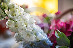 Gerbera and gypsophila bunch of flowers