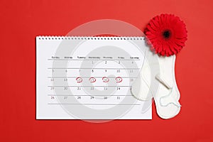 Gerbera, menstrual calendar, pills and tampons on a red background. Ovulation concept.