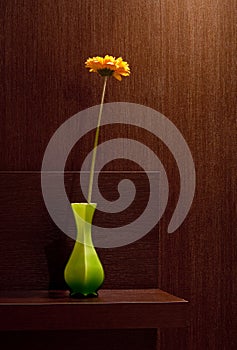 Gerbera in vase at brown home background