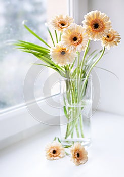 Gerberas bouquet on the windowsill with bright daylight photo