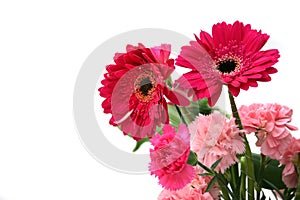 Gerberas & carnations