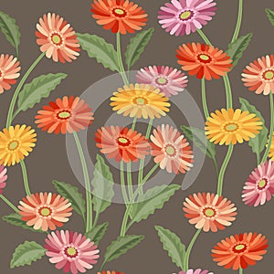 Gerberas. Seamless pattern of flowers and leaves of Gerbera. Vector.