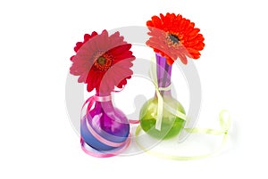 Gerberas in vases