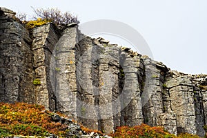 Gerduberg Cliffs on Iceland