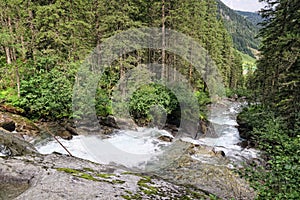 Un rio a través de pino un árbol Bosque en Alpes   