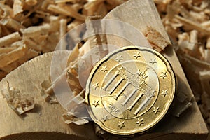 German 20 euro cent coin in a carpenter's workshop