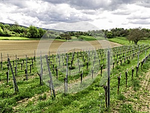 German agriculture fields