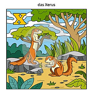 German alphabet, letter X (xerus and background)