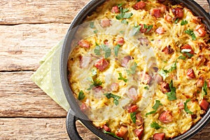 German baked hash Saarland dibbelabbes is a combination of grated potatoes, leeks, and diced smoked bacon close-up in a pan.