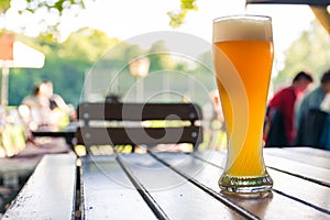 German Beer 0,5 Liter on Wooden Table Biergarten Traditional Culture Beautiful Day