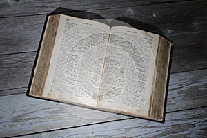German bible