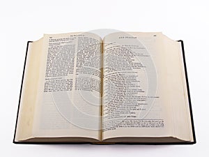German Bible - Psalms photo