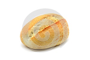 German bread roll on white background
