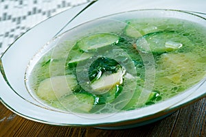 German cucumber soup