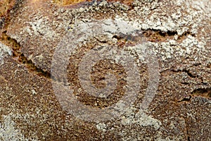 German dark bread texture background