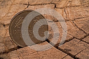 German Deutsche Mark On A Stump photo