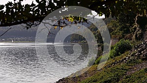 the german edersee lake in summer