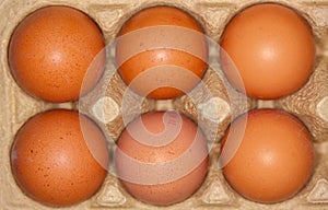 Eggs lies in a egg carton