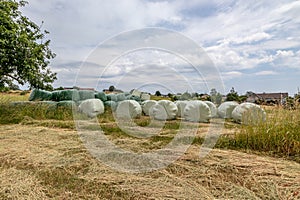 German farmland with wrapped hay bales in green and white foil stacked on dry yellowish-green grass