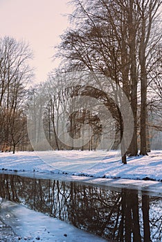 German Forest with snow and trees with still atmosphere Munich,